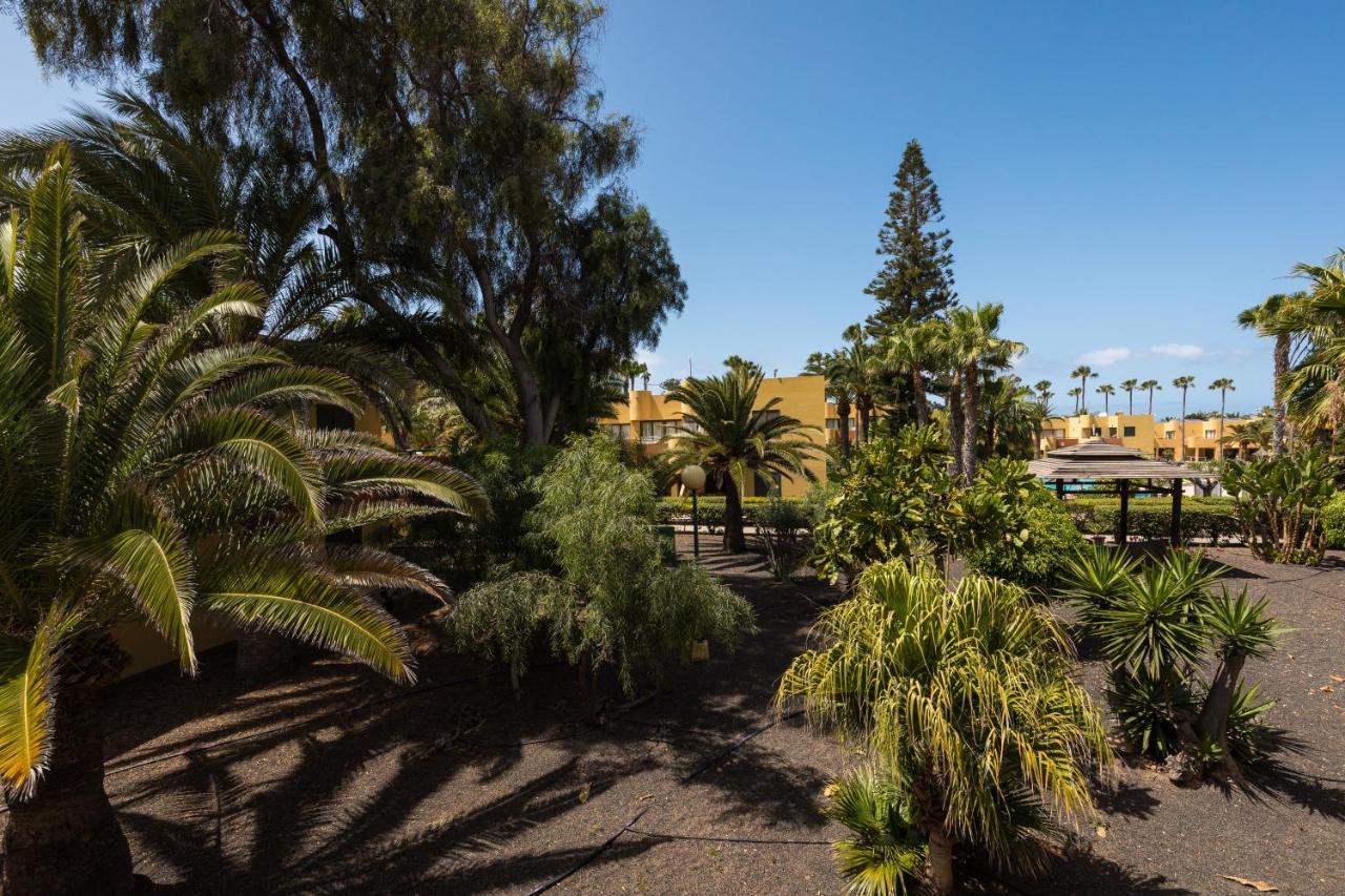 Apartament Blue Pearl Corralejo Zewnętrze zdjęcie